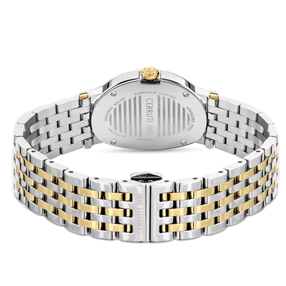 Buy Cerruti 1881 CIWLG2206601 Norica Womens Silver Gold Analog Watch ...