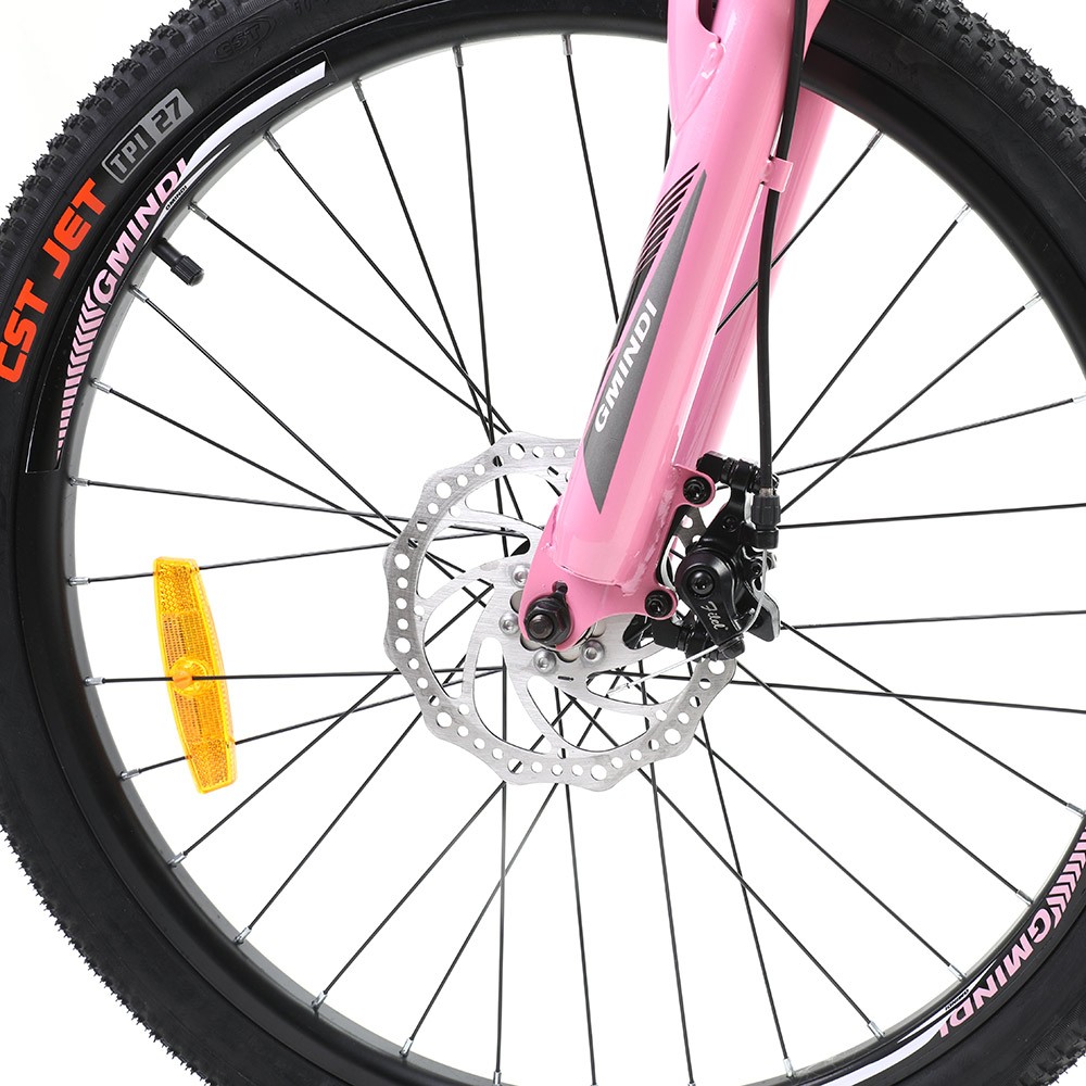 Gmindi Classic Bike Pink 24