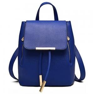 Korean Version Fashion Double Shoulder Bag Backpack Blue