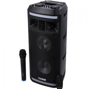 Krypton KNMS5196 Rechargeable Professional Speaker Black
