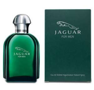 Jaguar Green Edt 100ml For Men