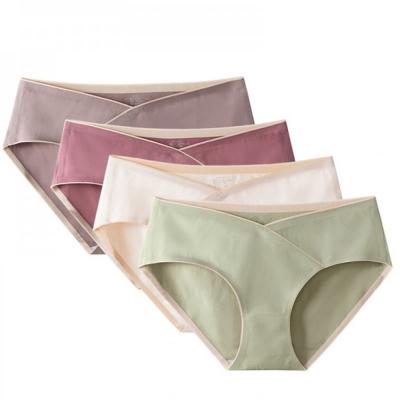Sunveno SN_LWB_XL Maternity Seamless Low Waist Briefs Set of 4, XL Assorted Colours