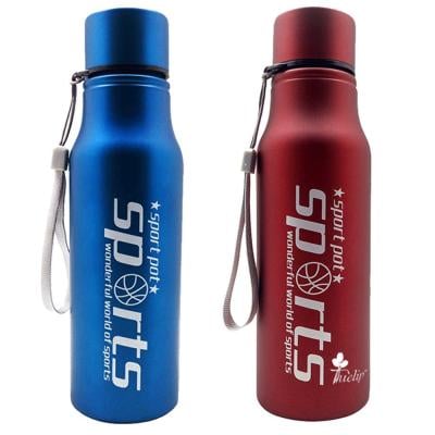 Stainless Steel Water Bottle for College, Gym, Sports 750 ml