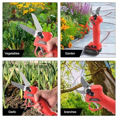 Galaxy Profession Lithium Pruning Shears With Battery 21V
