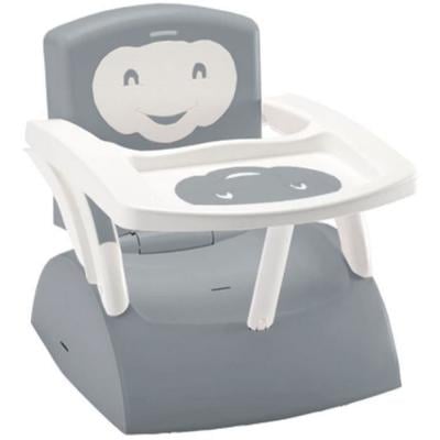 Thermobaby 2198529 Scalable 2 in 1Booster Seat Grey