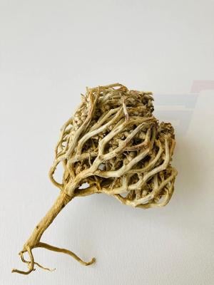Generic, Chajarat Mariam Jericho rose Anastatica hierochuntica  fertility, pregnancy, stimulation, Maryam Flower , Mary's flower The Resurrection Plant (Pack of 3)
