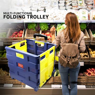 Multi-functional Folding Trolley