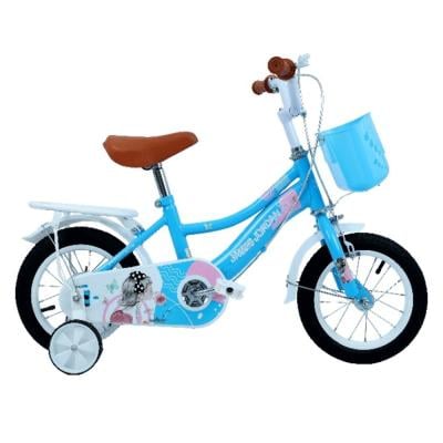 James Jordan JDN1053 20 Inch Bicycle  Blue and White