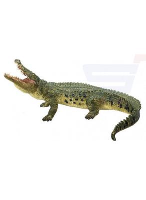 Toy School Crocodile With Moving Jaw