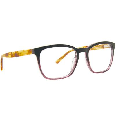 XOXO XO VAIL EGGP Womens Vail Sqaure Eyeglasses Frame 781096547920 Eggplant