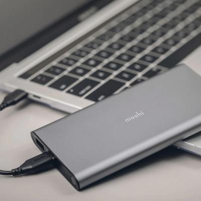 Moshi MSHI-L-022145 IonSlim 10000 mAh Portable Battery USB-C Titanium Gray