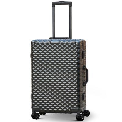 Zap TBAD20GY31 Carry On Travel Luggage with 360 Degree Spinner Wheels 24inch 20 Kg Grey