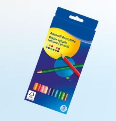 Coloured Pencil - 12 Piece