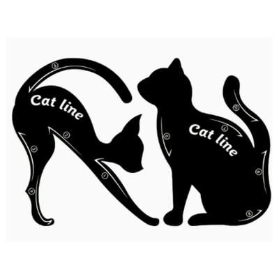 Cat Shape Eyeliner Stencil N33690031A Smoky Eyeshadow Plate Black