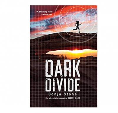 Dark Divide by Sonja Stone
