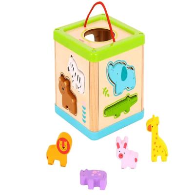 Tooky Land TH442 Toy Animal Shape Sorter