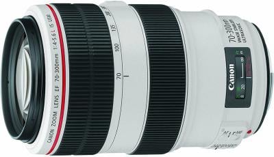 Canon EF 70 300mm f4-5.6L IS USM Telephoto Zoom Lens